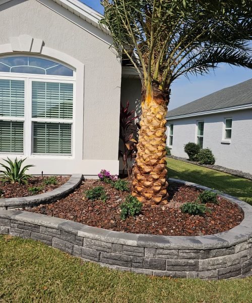 WhatsApp Image 2025-12-09 at 3.11.42 PM